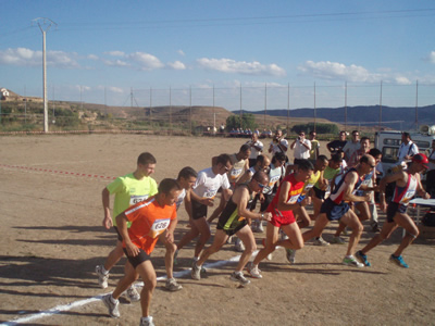 Pollera de Ani&ntilde;&oacute;n 2010